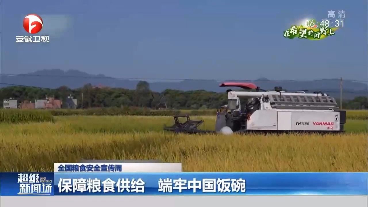 世界粮食日:保障粮食供给,端牢中国饭碗