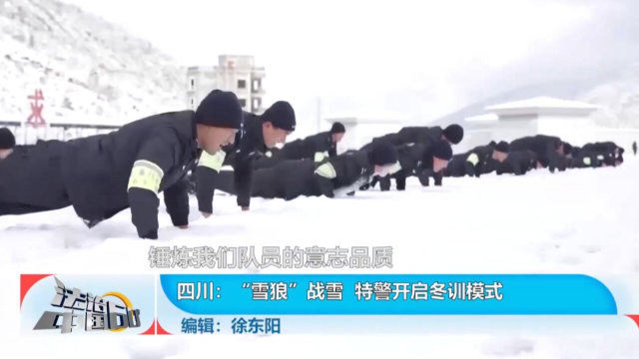 “雪狼”战雪,特警开启冬训模式