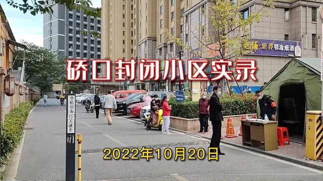 武汉市硚口区,汉水桥社区封闭小区实行只进不出管控实录