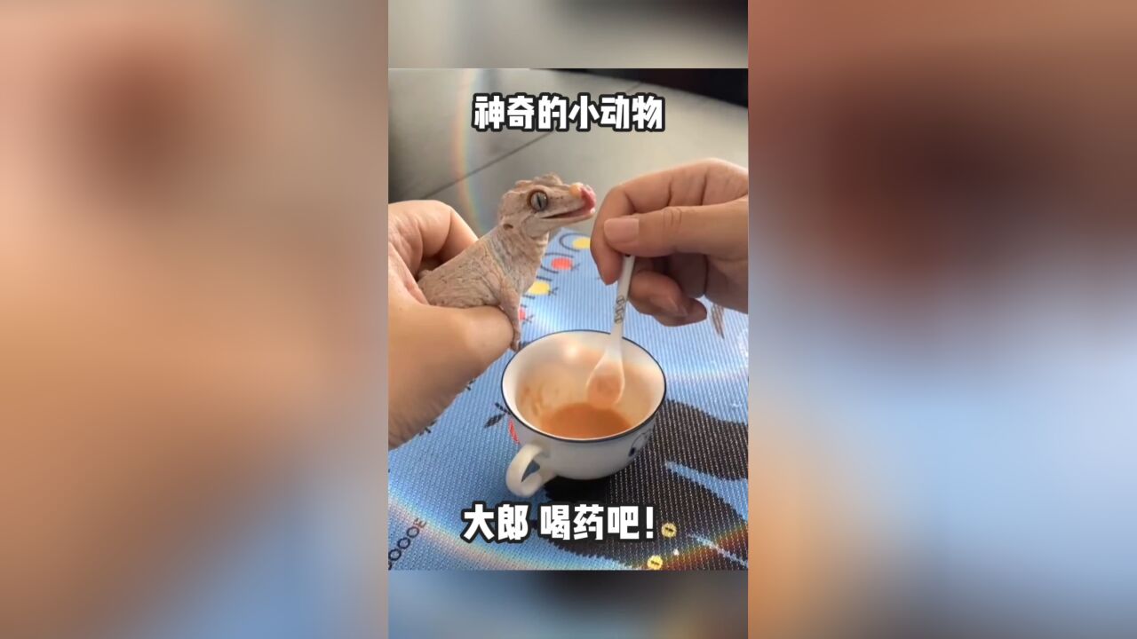 大郎 该喝药啦!