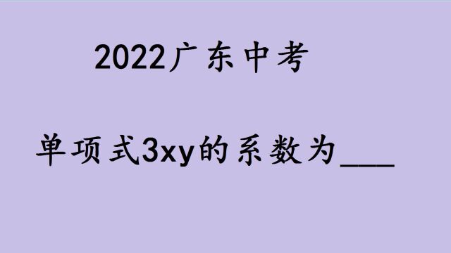 广东中考数学题,单项式3xy的系数是多少?