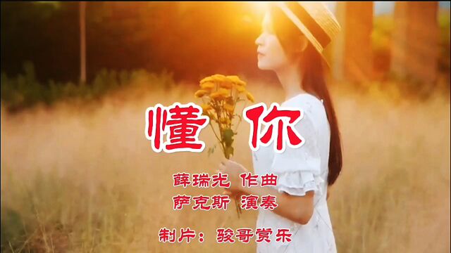 萨克斯演奏的经典歌曲:《懂你》,其实我多么爱你!