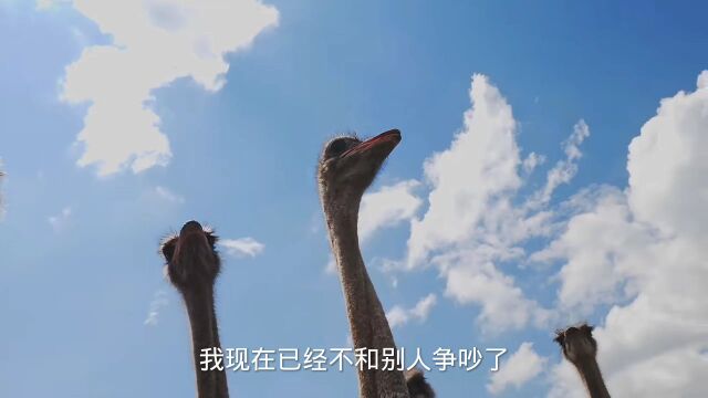 人生感悟语言