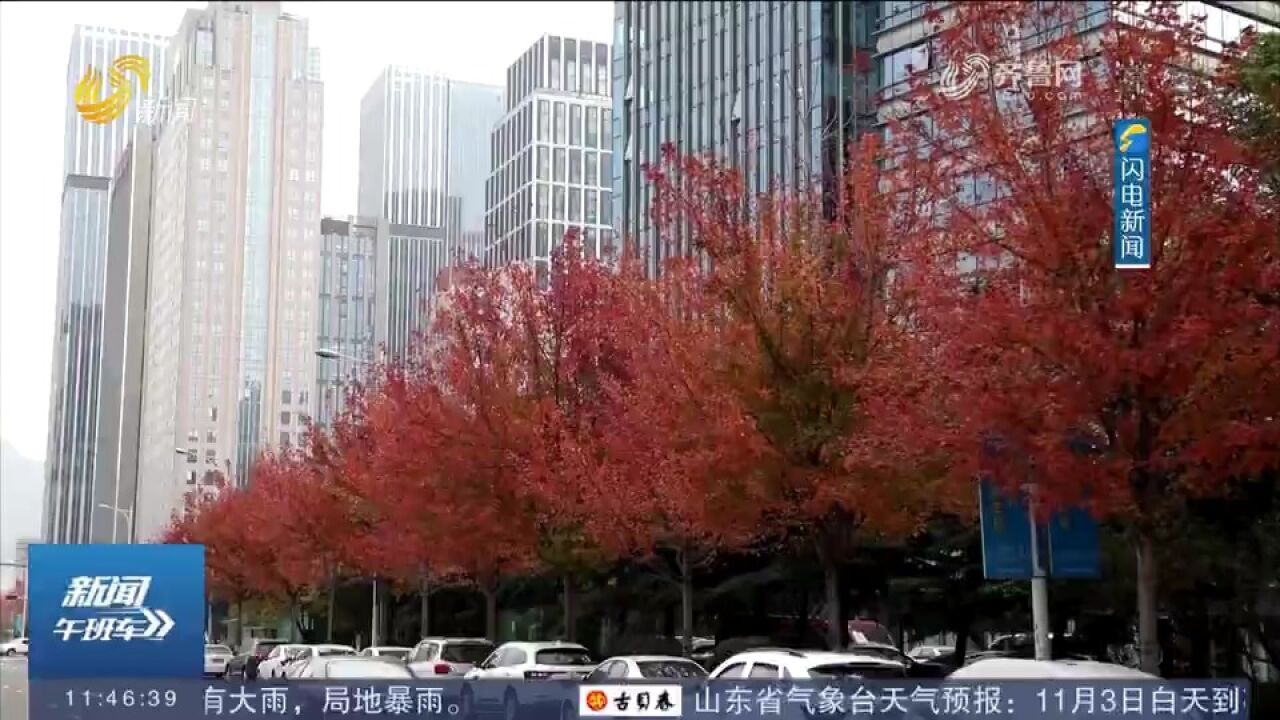 秋日氛围感十足!山东多地开启＂落叶缓扫＂模式,留住城市最美秋色