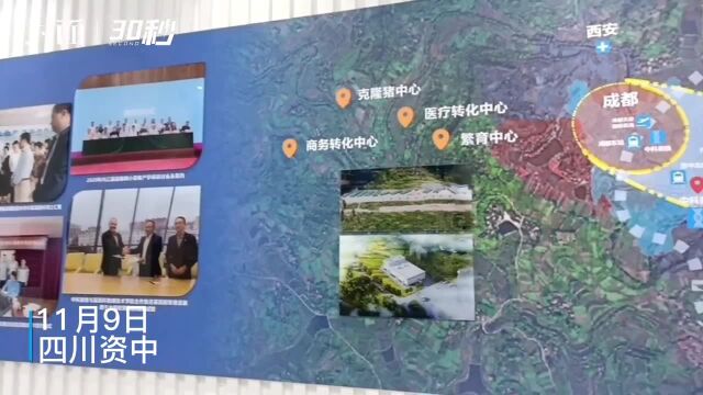 中国首家异种大器官移植医用猪培育基地在四川内江竣工