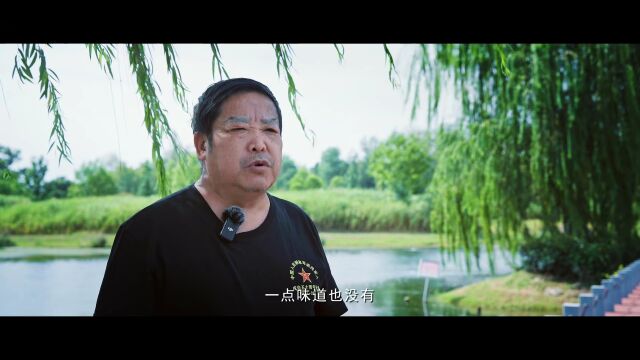 督察整改见成效 |滁州天长市:倾心治水,“尾水”变清流 绘就生态湿地新画卷