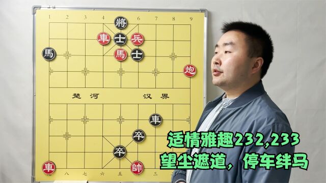 中国象棋杀局宝典,适情雅趣232,233,望尘遮道,停车绊马