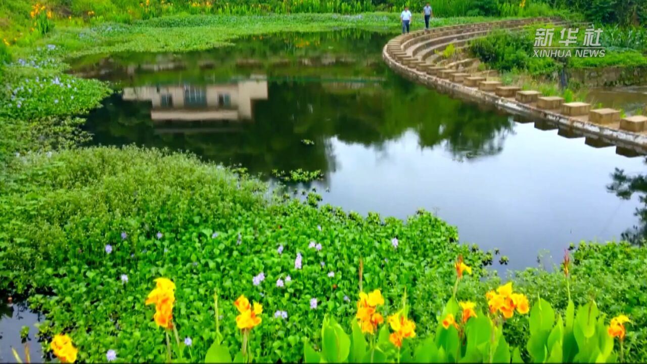 新华全媒+|小微湿地里的生态大智慧