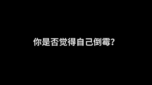 四大队交通安全警示录