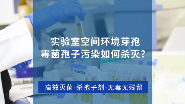 如何杀灭实验室空间环境中的芽孢霉菌孢子?高效无残留无刺激杀孢子消毒剂