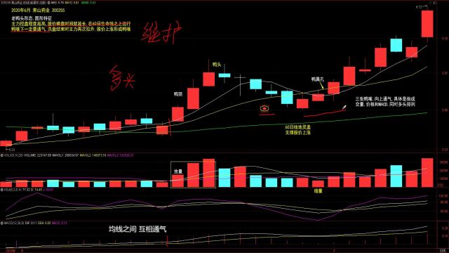 4.老鸭头形态图形特征