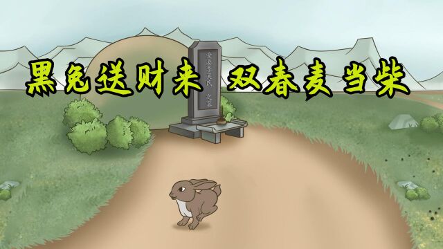 兔年将至,俗语“黑兔送财来,双春麦当柴”啥意思?有何道理?