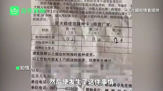 青海西宁一“大白”虐狗?警方:嫌疑人为物业保安