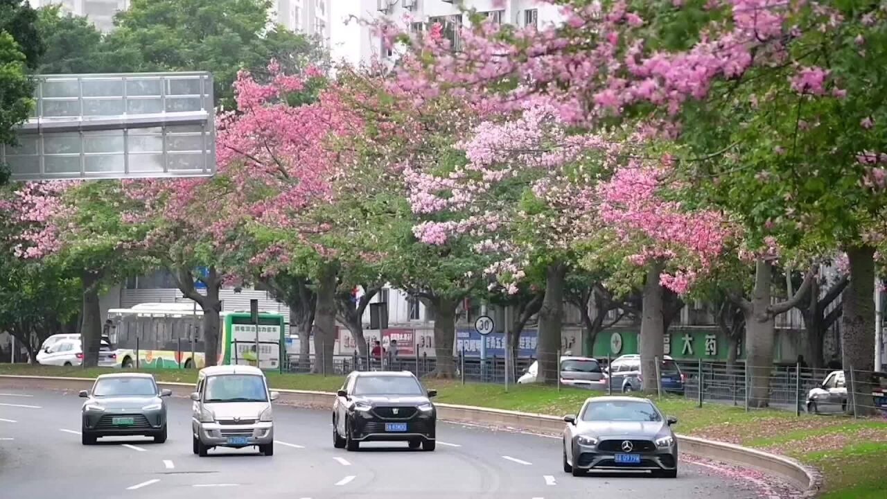 复工首日快餐店卖出500份外卖,广州海珠区东部非管控区生产生活有序恢复