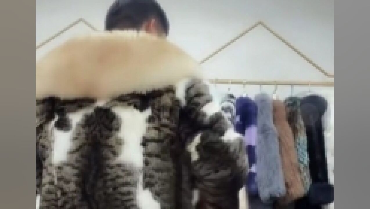 直播间卖猫皮服装执法部门称不违法 律师:猫的品种和来源是关键