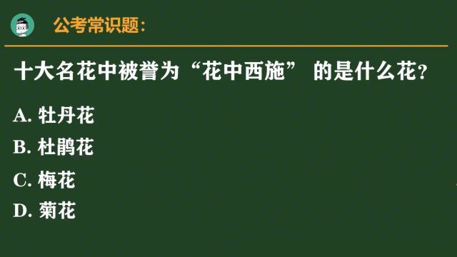 较难公考题:什么花被誉为“花中西施”?正确率仅16%,你知道吗