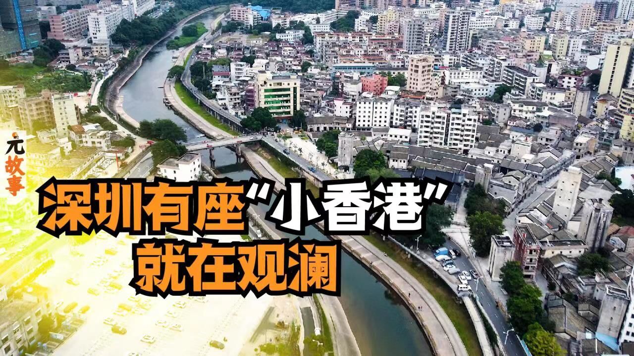 深圳有座“小香港”,就在观澜|元故事视频