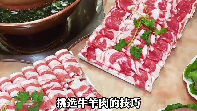 如何挑选牛羊肉?