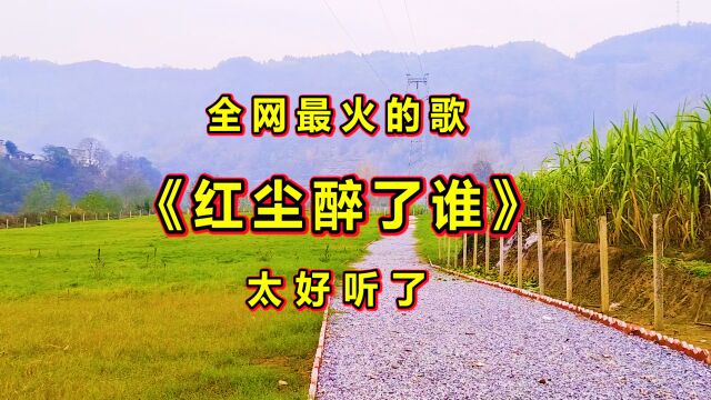 一首新伤感情歌《红尘醉了谁》旋律优美,歌声醉人心扉,太好听了