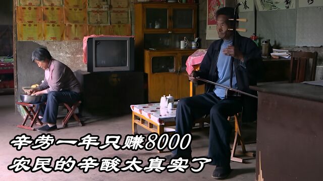 农民的真实收入是怎么样的,辛辛苦苦劳作一年,却只有8000元