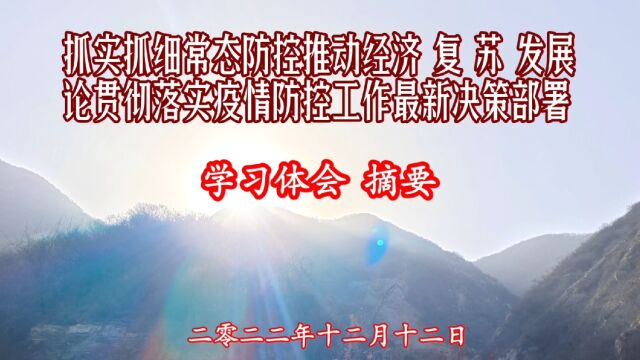 抓实抓细常态防控 推动经济复苏发展 学习体会 摘要