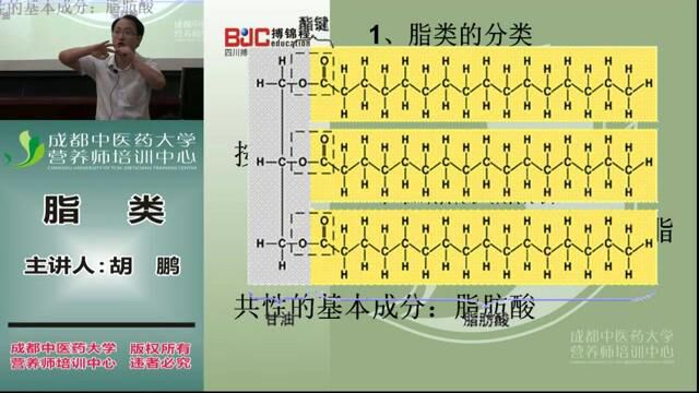 营养师全套教程 3. 基础营养 脂类1