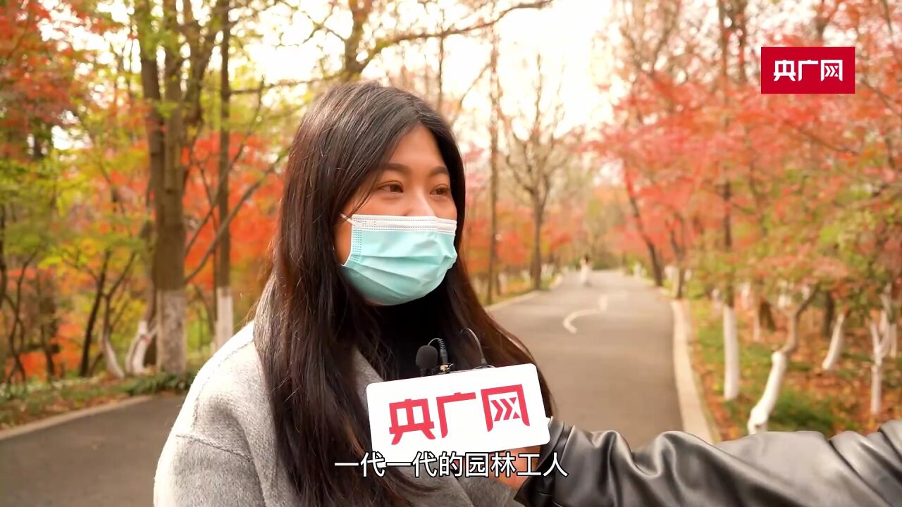 组图丨醉美“红颜” 南京栖霞山“枫”景这边独好