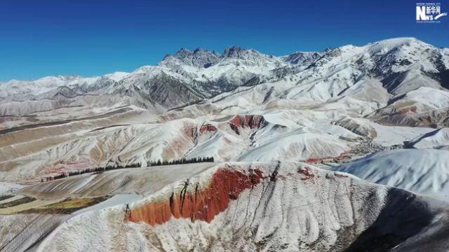 冬韵尽显,赏雪域高原限定景色