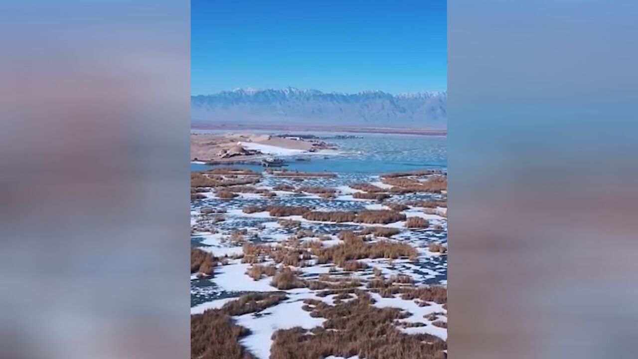 冬日沙湖:沙与雪的浪漫邂逅