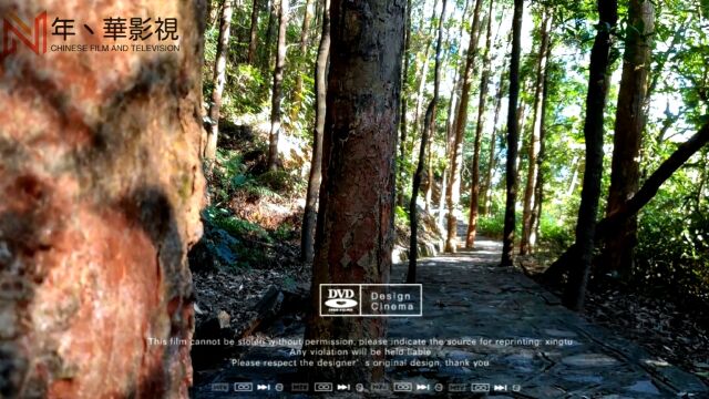 歌曲推荐|这个年代ⷮŠ花开彼岸本无岸,魂落忘川犹在川.醉里不知烟波浩,梦中依稀灯火寒……