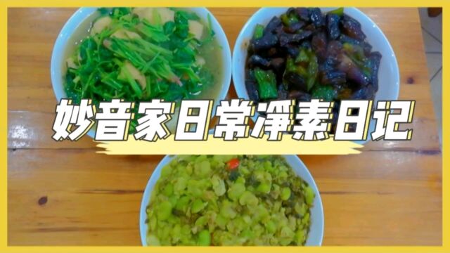 妙音净素日记:紫茄子青椒、雪菜豆瓣、菠菜油豆腐,无蛋奶无五辛的纯净素菜