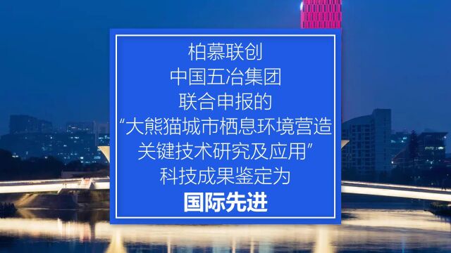 AI美女播报:柏慕联创与中国五冶集团联合申报的“大熊猫城市栖息环境营造关键技术研究及应用”经鉴定达到“国际先进”水平