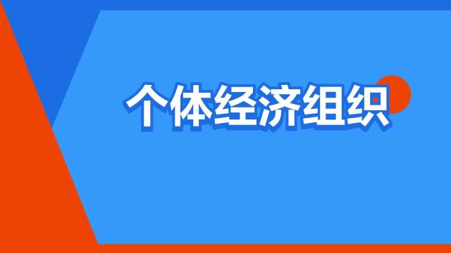 “个体经济组织”是什么意思?