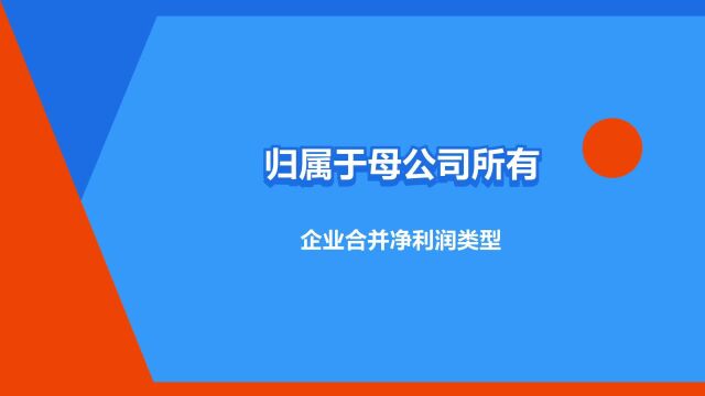 “归属于母公司所有者净利润”是什么意思?