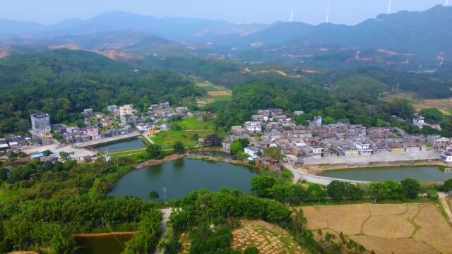 航拍阳江古村落,北桂村有700多年历史,山清水秀,田园风光