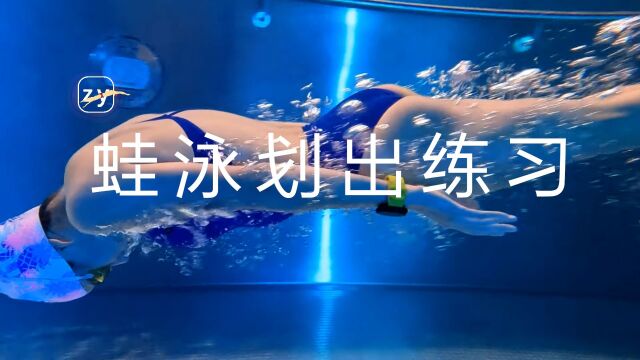 蛙泳长划臂、海豚腿、出水起游