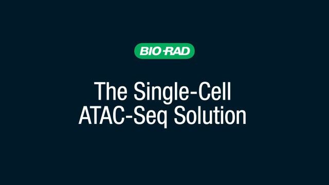 单细胞ATACSeq是如何工作的?[How SingleCell ATACSeq Works]