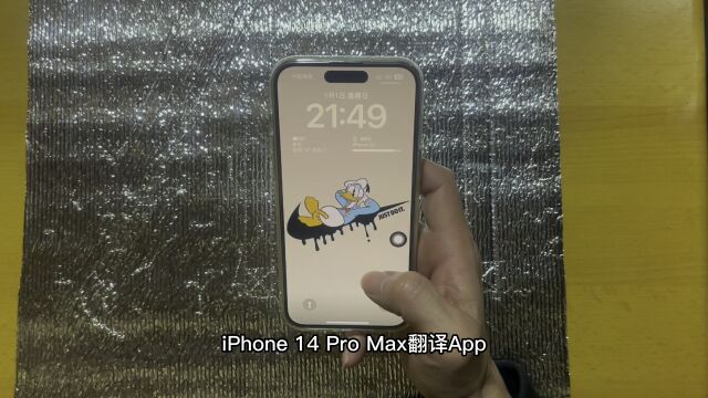 iPhone 14 Pro Max翻译App