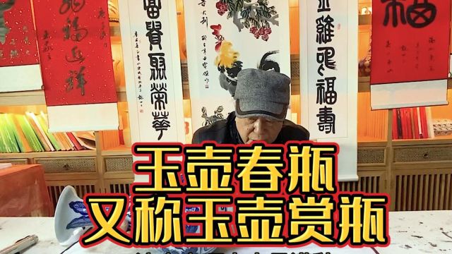 玉壶春瓶又称玉壶赏瓶