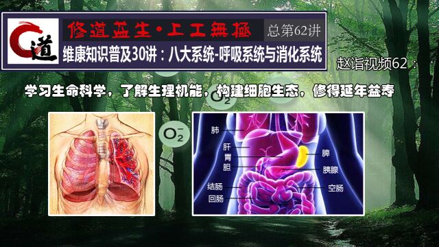 赵诣视频62:维康知识普及30讲八大系统呼吸系统与消化系统