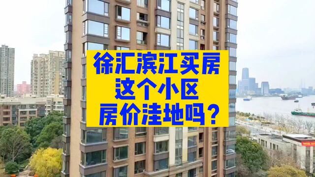 上海徐汇滨江买房,这个小区是房价洼地吗?