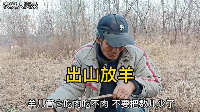 出山放羊,羊倌最大,短了羊有无数个理由,聊聊出山羊倌那些事