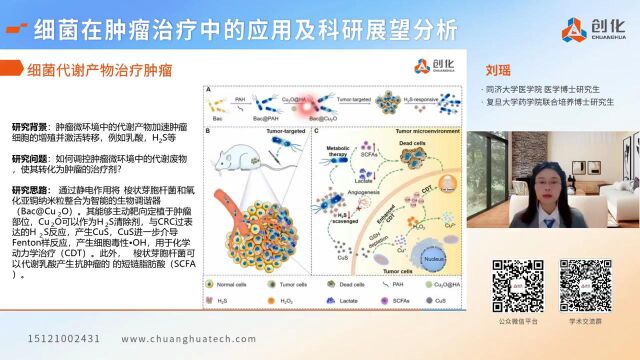 细菌在肿瘤治疗中的应用及科研展望分析