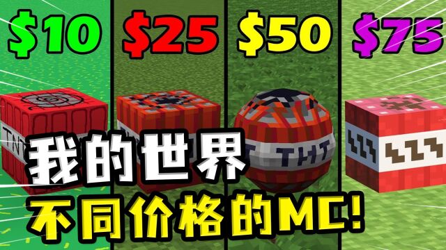 我的世界:不同价格的MC,十块钱的MC里,我的世界成我的球球?