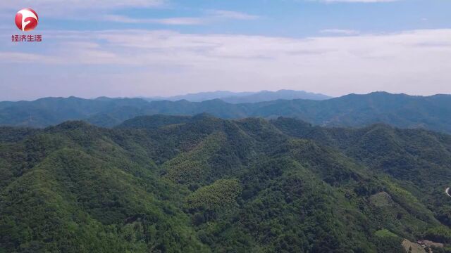 江淮新视点美丽乡镇——南港镇特别报道