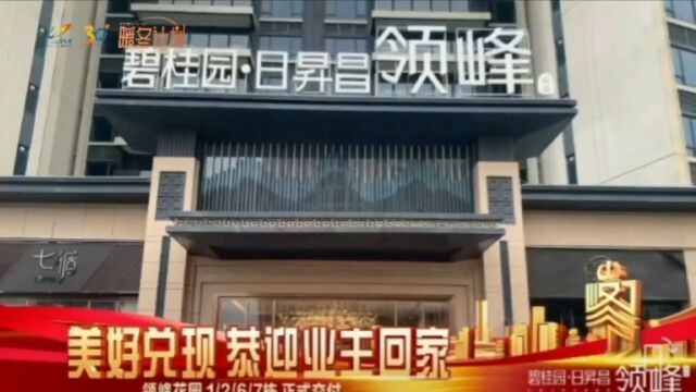 楼盘交付碧桂园领峰花园