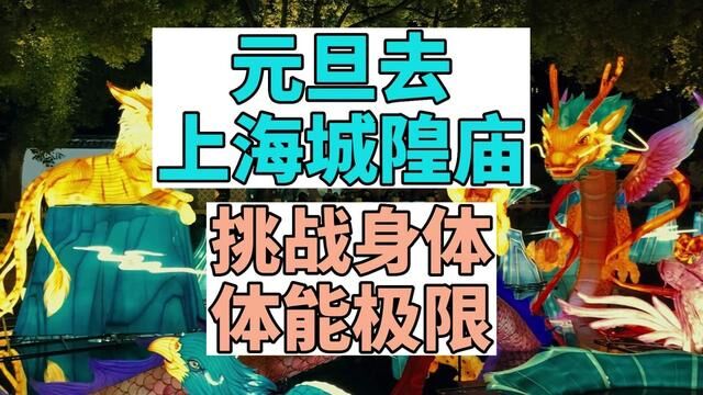 城隍庙里有普通话版的上海话,交关扎劲、老灵额、好白相、啊呜乱 #城隍庙 #豫园 #元旦