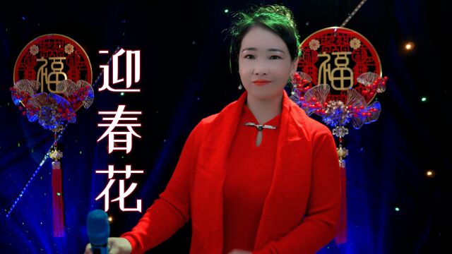 一曲《迎春花》祝大家新年快乐,兔年大吉,万事如意