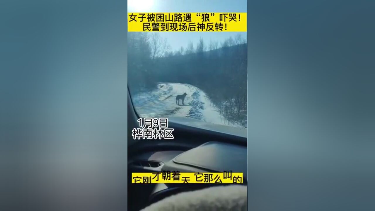 女子被困山路,遇“狼”吓哭!民警赶到现场后神反转!