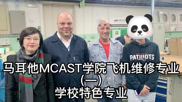 马耳他教育/马耳他学校/马耳他留学/马耳他MCAST学院飞机维修专业(一)